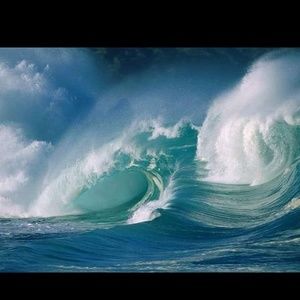 Meet your Posher, Alan